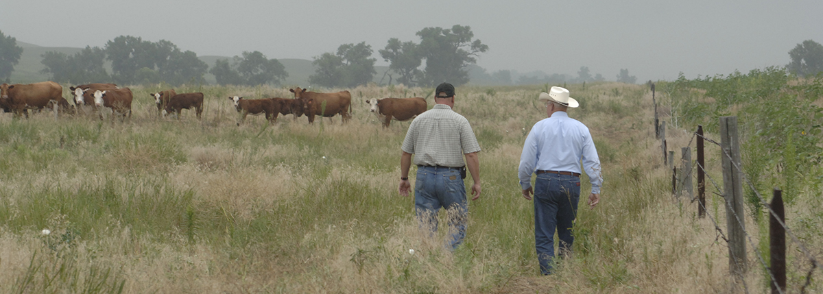 Extension agent with rancher in field
