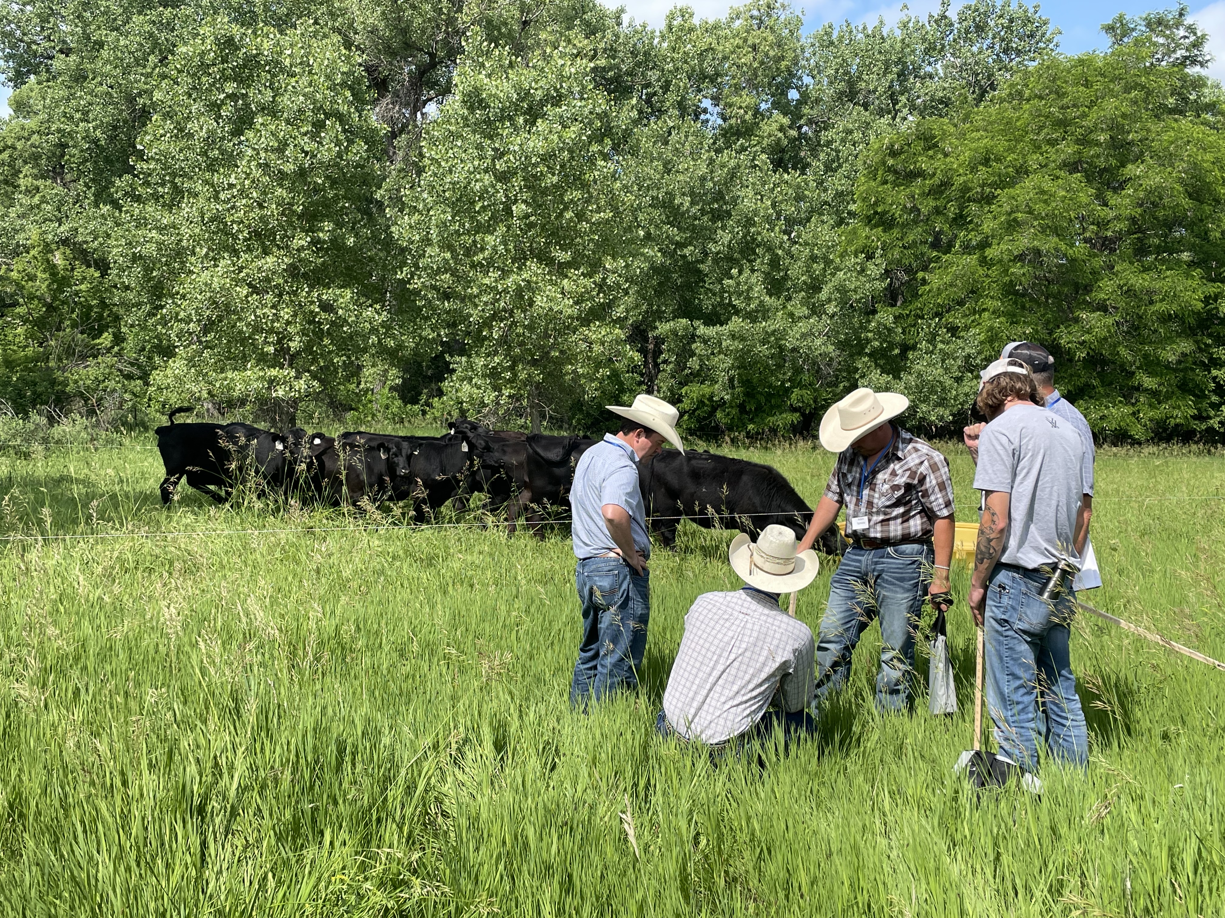 The 2024 Nebraska Range Short Course is teaming up with the Nebraska Grazing Lands Coalition (NGLC) Grazing School on June 25 – 27, 2024 at the Spring Lake Ranch south of Gordon, Nebraska. Photo courtesy of Nebraska Grazing Lands Coalition.