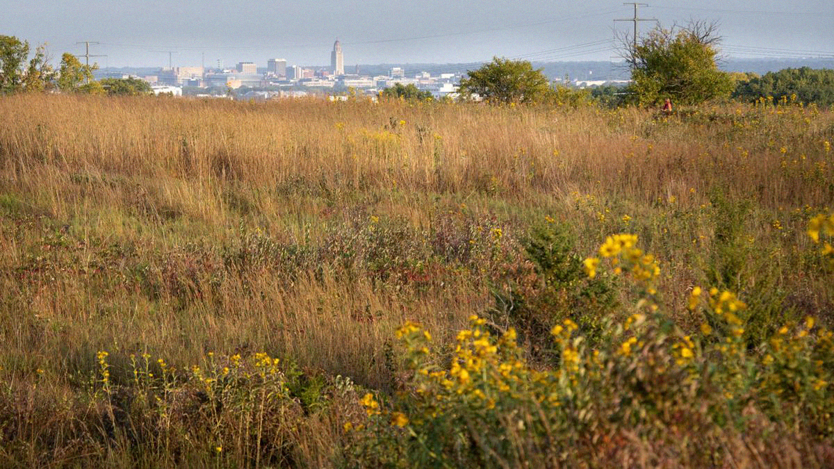 prairie with Lincoln in background