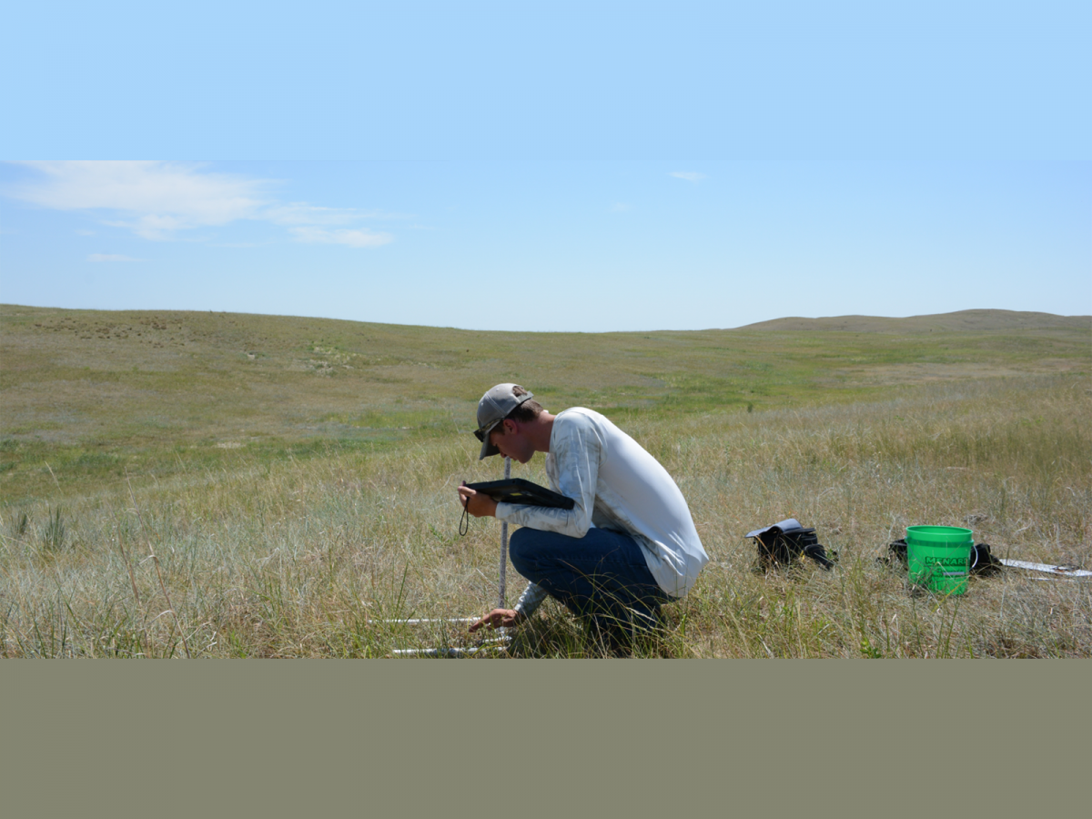 man examining grassland