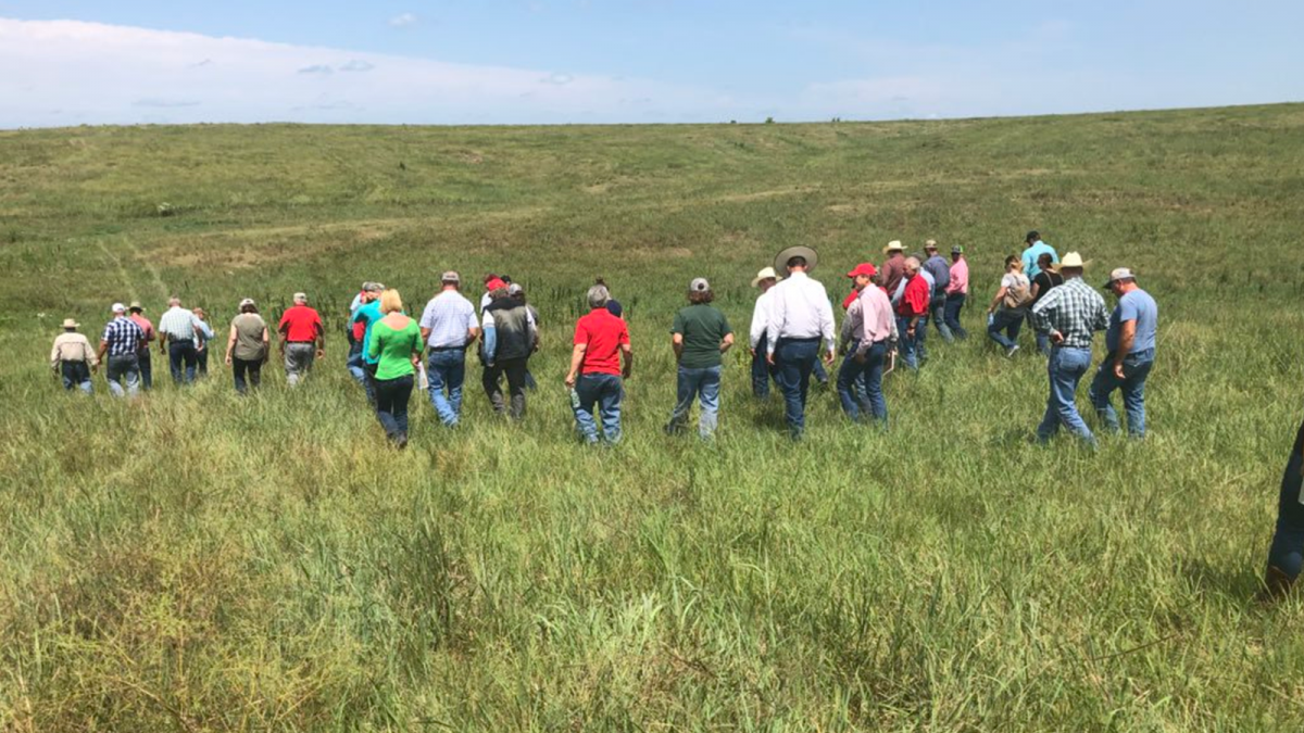 participants at the Nebraska Grazing conference walk through grasslands