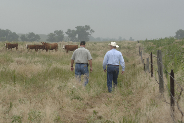 researchers and extension personnel study grasslands