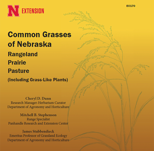 common-grasses-of-nebraska