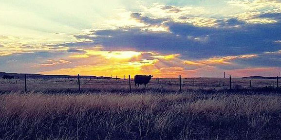 sunset-ranch