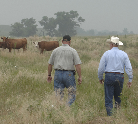 ranchers in field