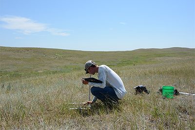 monitoring-grasslands