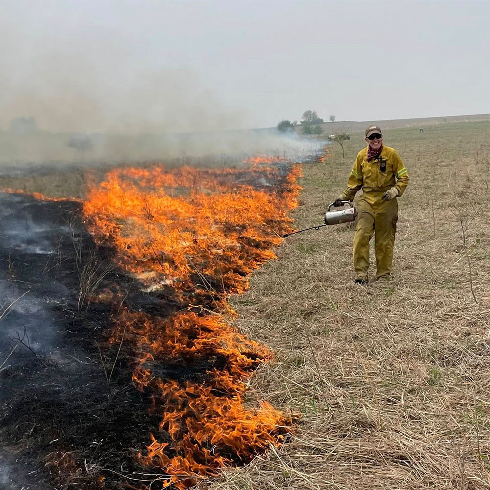 Grassland burn with flames and smoke; a person in yellow gear carrying a flame torch.