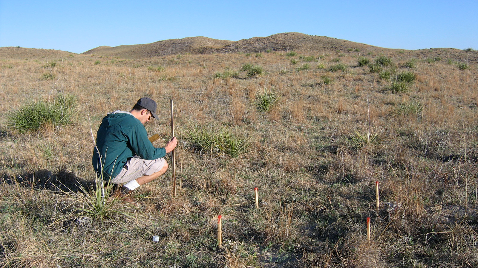 Student gathering data in field