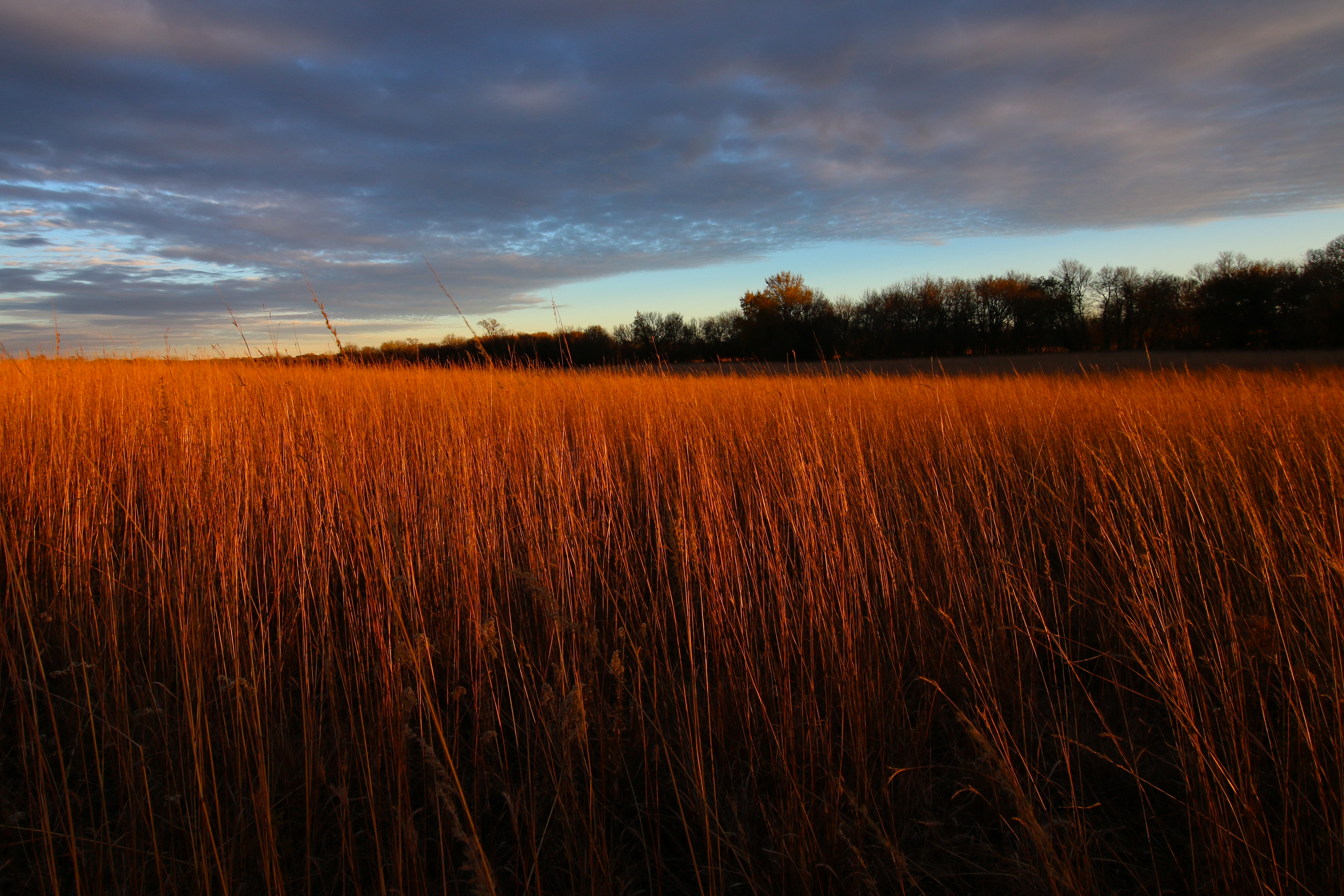 Prairie Corridor