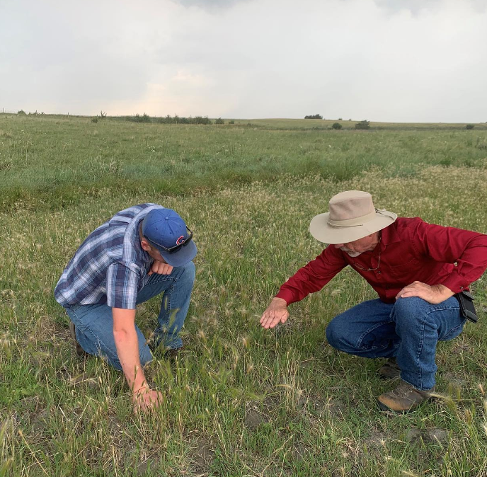 Rangeland Management
