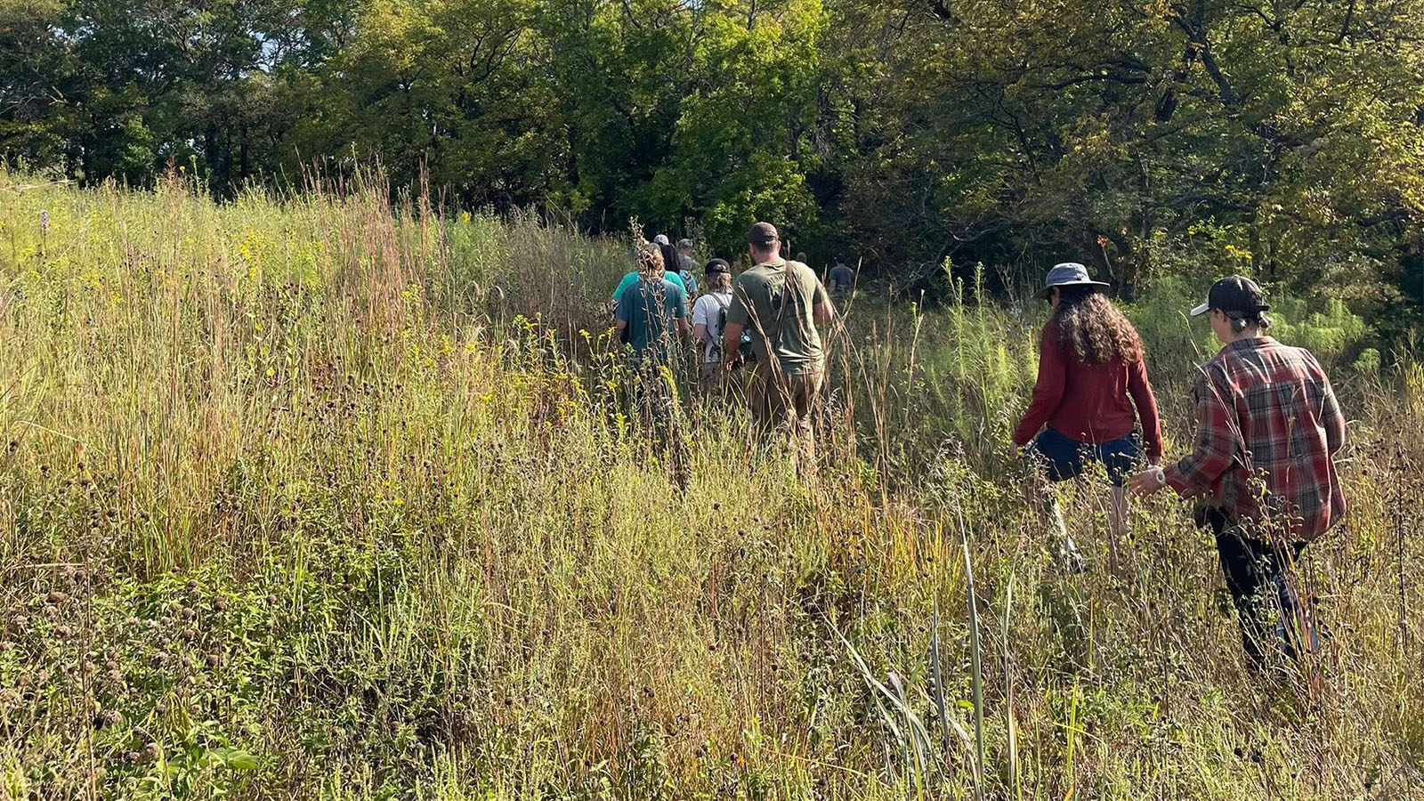 Group walking through a grassy, wooded trail under bright sunlight.