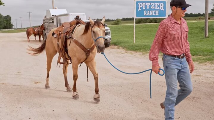 John Cook Walking a horse