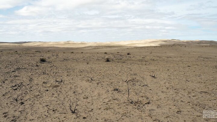 Sparse desert landscape with dry soil, scattered shrubs, and distant rolling dunes under a cloudy sky.
