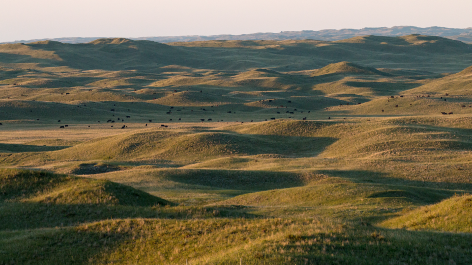 Aerial of Sandhills