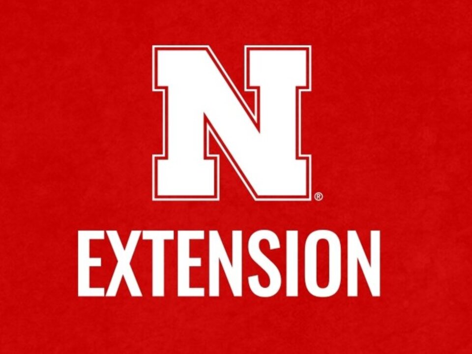 Red background with a bold white "N" above the word "Extension" in white text.