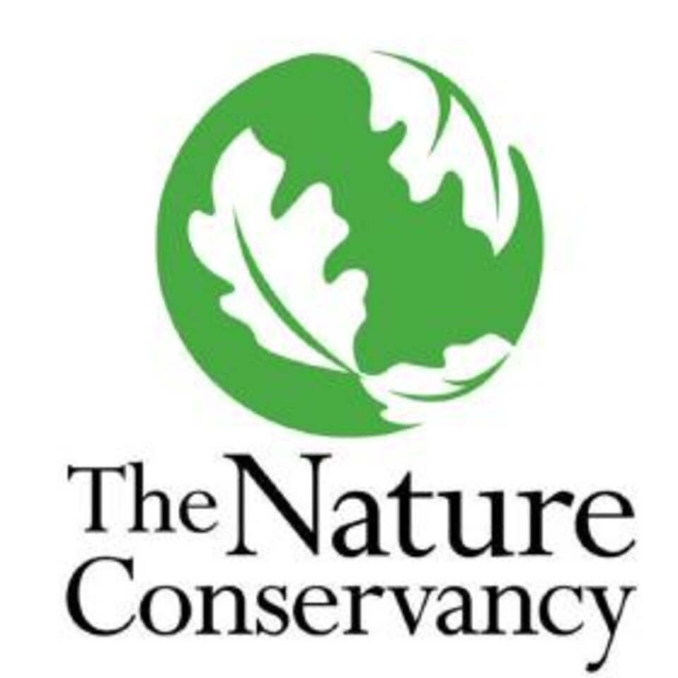 Green globe with oak leaves above "The Nature Conservancy" text.